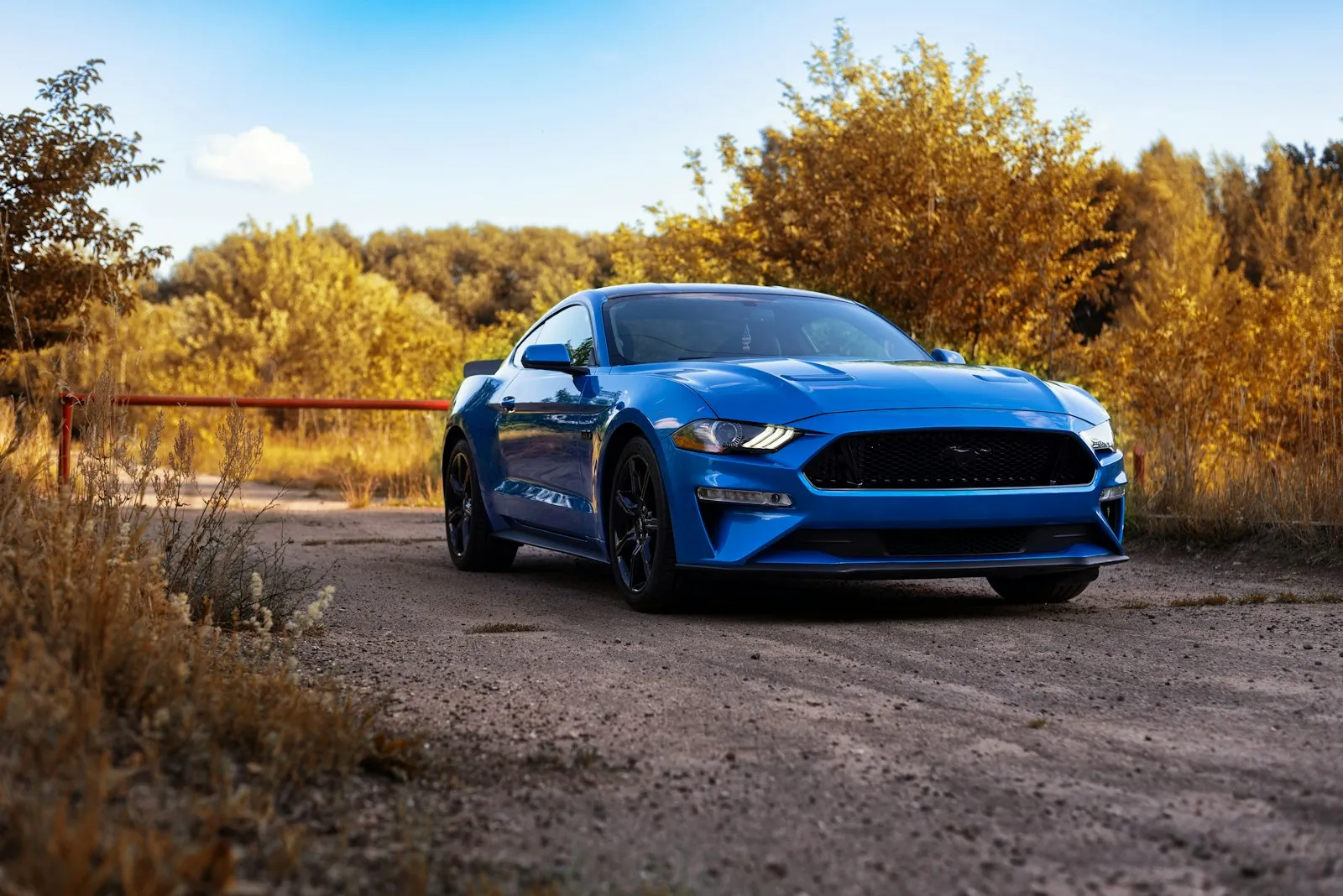 Blue Ford Mustang on a dirt road — Mustang sports car install context